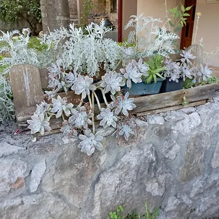 Apartament Oliva 16