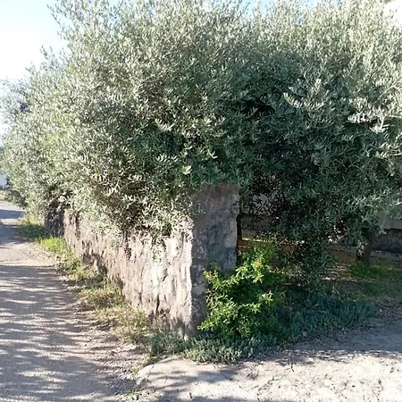 Apartament Oliva 16